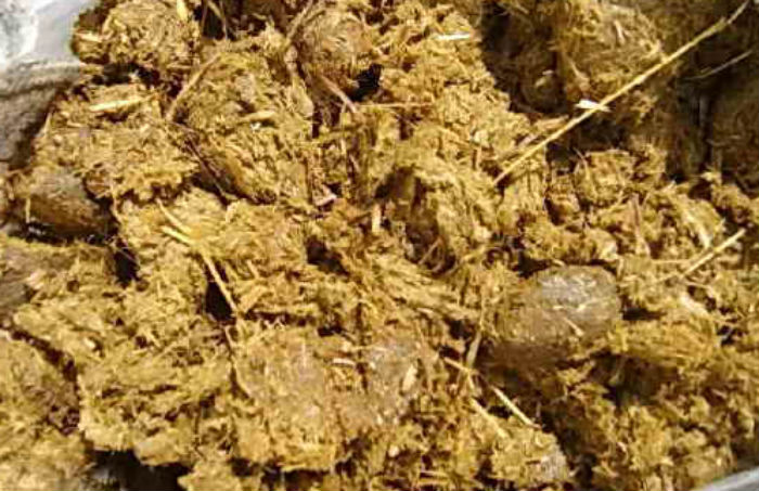 Конский перегной. Вывоз серы для минеральных удобрений. Навоз в мешках. Перегной конского навоза. Чем конский навоз лучше коровьего.